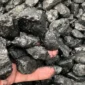 Naam Coal